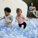 쁘띠꾸숑 이미지