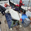 대야도항 이미지