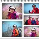 곽인상 2012년 4월 7일 군서산악회 거제 대금산 산행 이미지