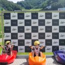 월드목장 | 홍천 비발디파크 루지 월드 할인 &amp; 탑승방법, 하늘양떼목장 후기