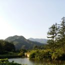 화령