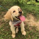 초원카페 이미지