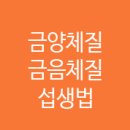 건강플러스365