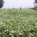 가서농장 이미지