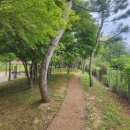 9월8일(월)백석스마트길(마감합니다) 이미지