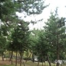 상*김* 이미지