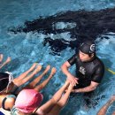 서울온수초등학교 이미지