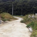 강남여주부동산공인중개사사무소 이미지