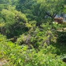 토지민속촌 이미지