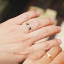 엘림디자인 이미지