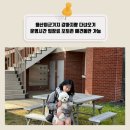 용산-서빙-221 | 용산미군기지 강아지랑 다녀오기 운영시간 입장료 포토존 애견동반 가능