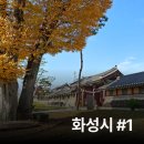 영신유원지 | 나의 화성시 여행 #1