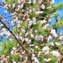 복지불공원 이미지