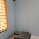 진복롯찌 이미지