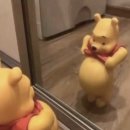 몰디브 시암월드 올익스클루시브로 가는 신혼부부를 위해 풀어보는 꿀팁 여러가지(+가격,시암월드앱...