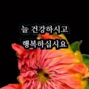 천년지기