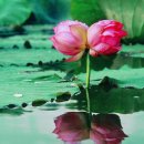 눈부신아침 이미지