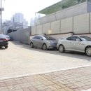 백평애견용품