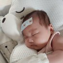 부흥로294번길 | [내돈내산] 인천 부평 인천산후도우미 맘마미아 : 쌍둥이 8주이용 추천 후기