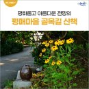 평매마을 이미지