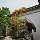 G7268 이미지