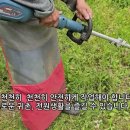 예초