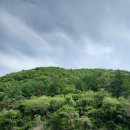 장태산 힐링타임 이미지