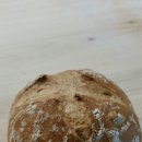 배드매드브레드