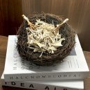 운채소고기세번째이야기 | 네이버가 밥 먹여 줬으니 블로그를 써야겠지? ‘오리지널 넘버스’ 다이닝 후기