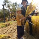 부산시설공단부산시민공원 이미지