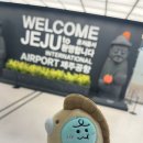 202302 | 제주 4박 5일 기록 1,2일차 / 혼자 올레 5코스