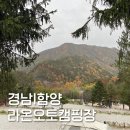 처갓집양념치킨 함양점 | 깨끗한 시설과 생맥이 맛있는 함양라온캠핑장 - D1 자리 후기