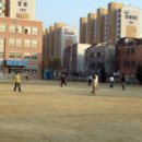 관음초등학교 이미지