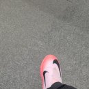 엔터PC방 | [일상] 4월 (1) : 바쁘다 바빠, 30살엔 별일이 다 있다