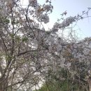 (주)광진상공 - 광산구 | (주)광진상공