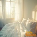 목화이불집 - 진안군 시장1길 16 | 목화이불집
