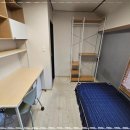 루나하우스 이미지