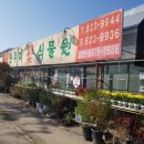 도우미꽃식물원 이미지