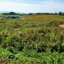 학산농장 이미지