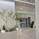 메가스터디 | [피부미용국가자격증《메가스터디 뷰티아카데미 상담》 후기]