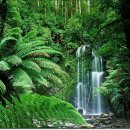 에덴의동쪽 이미지