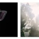 아이앤아이안경콘택트 이미지