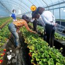 김재옥농장 이미지