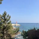 천학정 민박 이미지