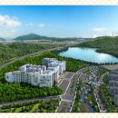 백운산 숲속의 아침 이미지