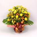 한빛 꽃농원 이미지