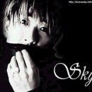 스카이(SKY) 이미지
