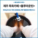 블루마운틴4255리조트 | 제주 삼달리 족욕카페 블루마운틴4255, 제주힐링효도여행 코스 추천!