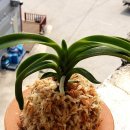 두엽농장 이미지