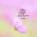 마그네슘 효능 이미지